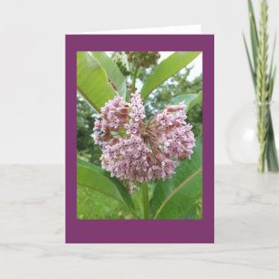 Carte vierge de note de Milkweed