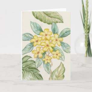 Carte vierge de Plumeria jaune