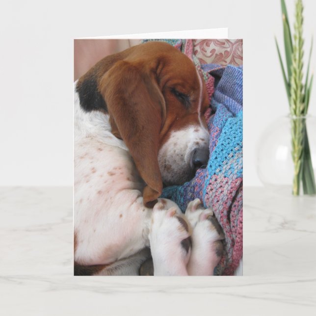 Carte vierge dormante Basset (Devant)