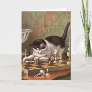 Carte vierge - série vilaine de chat - chat