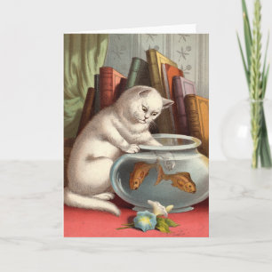 Carte vierge - série vilaine de chat - chat de