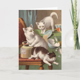 Carte vierge - série vilaine de chat - chats dans