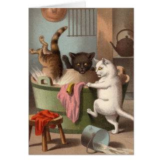 Carte vierge - série vilaine de chat - jour de