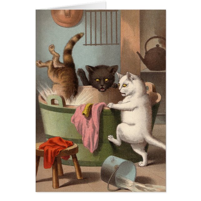Carte vierge - série vilaine de chat - jour de (Devant)
