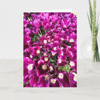 Carte vierge tulipes violettes