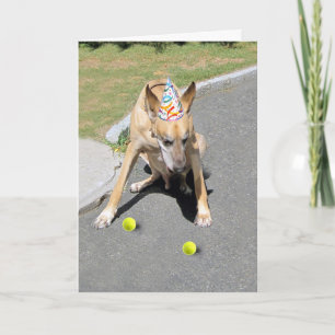 Carte Vieux chien