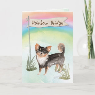 Carte Vieux Chihuahua Sympathie de l'animal de compagnie