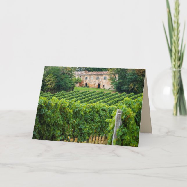 Carte Vieux vignoble toscan et Villa (Devant)