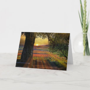 Carte Vignoble de belle automne Vigne vide