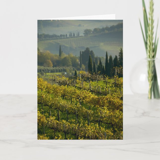 Carte Vignoble, Toscane, Italie (Devant)