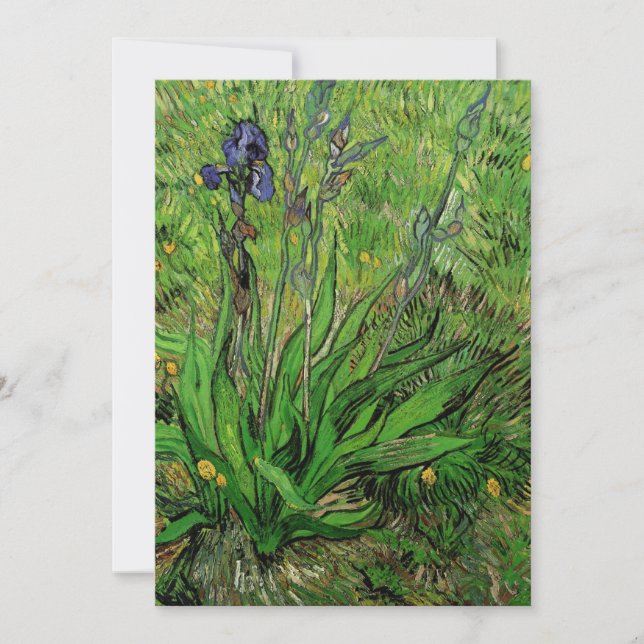 Carte Vincent van Gogh - Iris (Devant)