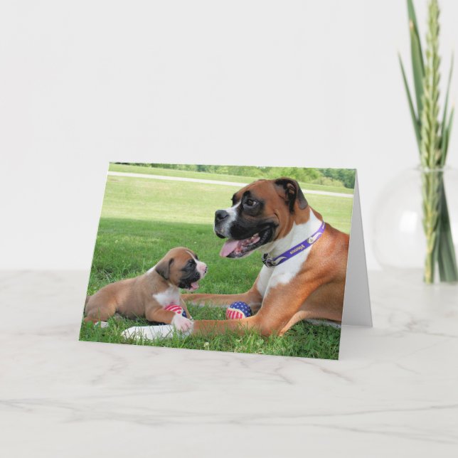 Carte Vindy et Pups - Photo 95 (Devant)