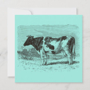 Carte Vintage 1800s vache hollandaise Retro Vaches Aqua