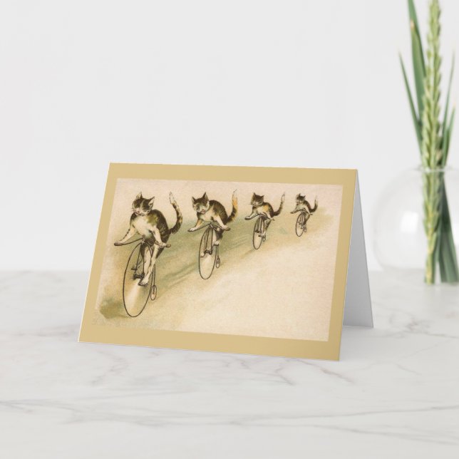 Carte Vintage Cats Riding (Devant)