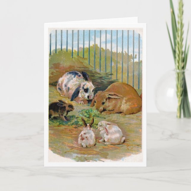 Carte Vintage - Famille de lapins, (Devant)