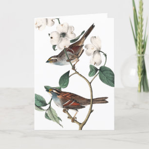 Carte Vintage Finch and Dogwood, fête des mères