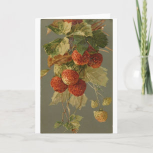 Carte Vintage - Fraises sur la vigne,