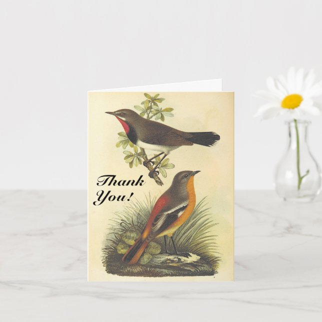 Carte Vintage Look Birds, "Merci !" (Petite plante)