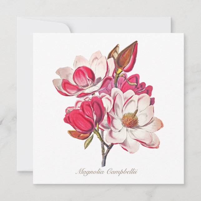 Carte Vintage Magnolia rose Fleurs blanches (Devant)