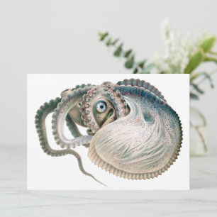 Carte Vintage Octopus Argonaut, Marine Life Animaux