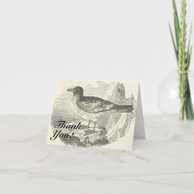 Carte Vintage, Oiseau debout, "Merci !" (Devant)