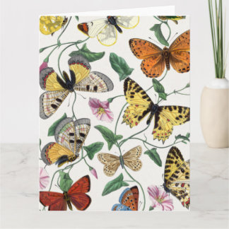 Carte Vintage Papillon de voeux plié