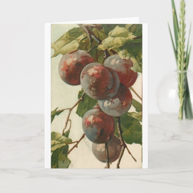 Carte Vintage - Plums sur l'arbre, (Devant)