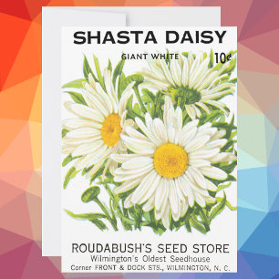 Carte Vintage Seed Packet Art, Shasta Daisy Flowers