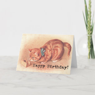 Carte Vintage Tabby Kitty Anniversaire