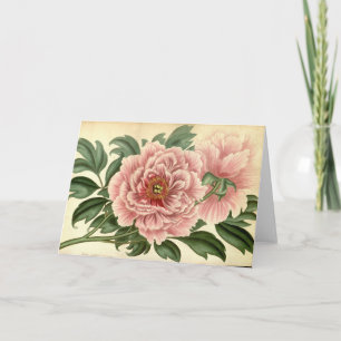 Carte Vintage Tree Peony