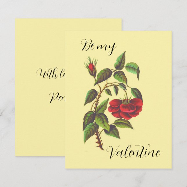 Carte vintage Wild Red Rose Valentin (Devant / Derrière)