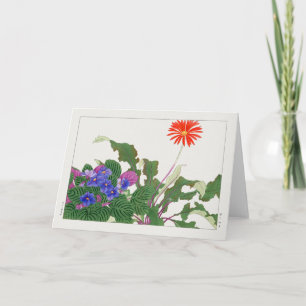 Carte Violet africain, Gerbera par Tanigami Konan