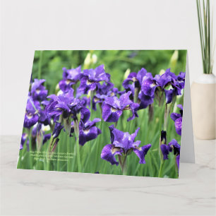 Carte Violet Bleu Sibérien Iris, Frère de César