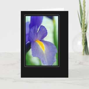 Carte violet iris