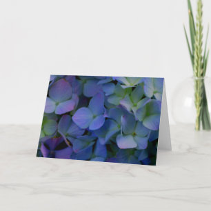 Carte Violet violet rose bleu hydrangée fleurie