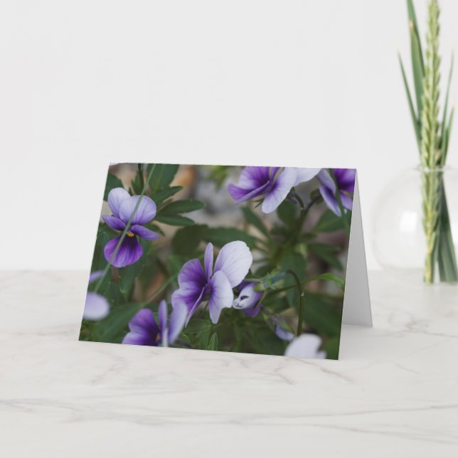 Carte Violettes (Devant)