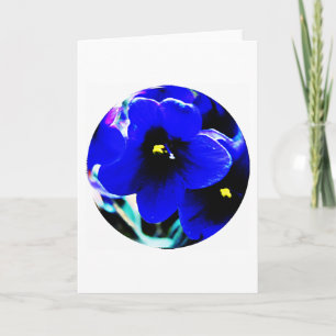 Carte Violettes africaines