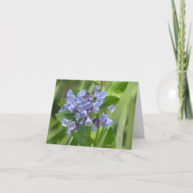 Carte Virginia bluebell (Mertensia virginica) (Devant)