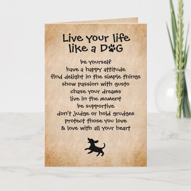 Carte Vis Ta Vie... Qualités des chiens (Devant)