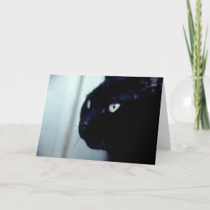Carte Visage de chat noir
