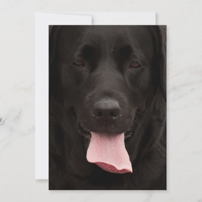 Carte Visage de chien noir (Devant)