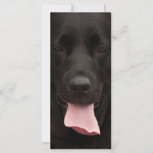 Carte Visage de chien noir