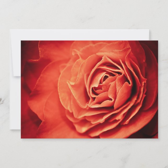 Carte vivant rose (Devant)