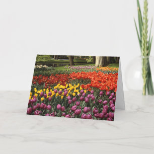 Carte Vœu d'anniversaire tardif Jardin Keukenhof