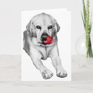 Carte Vœu joyeux d'un Lab au toucher rouge