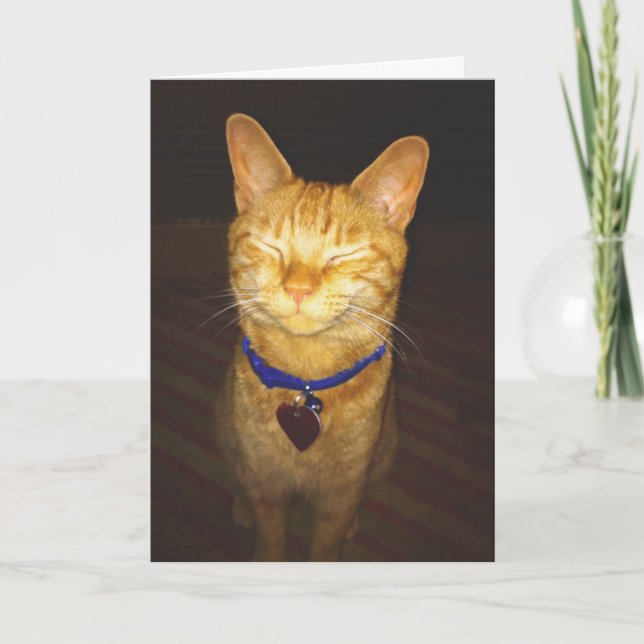 Carte Voeux d'anniversaire de Chat (Devant)