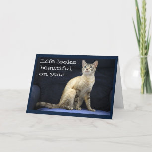 Carte Voeux d'anniversaire de Chat magnifique sur chaise