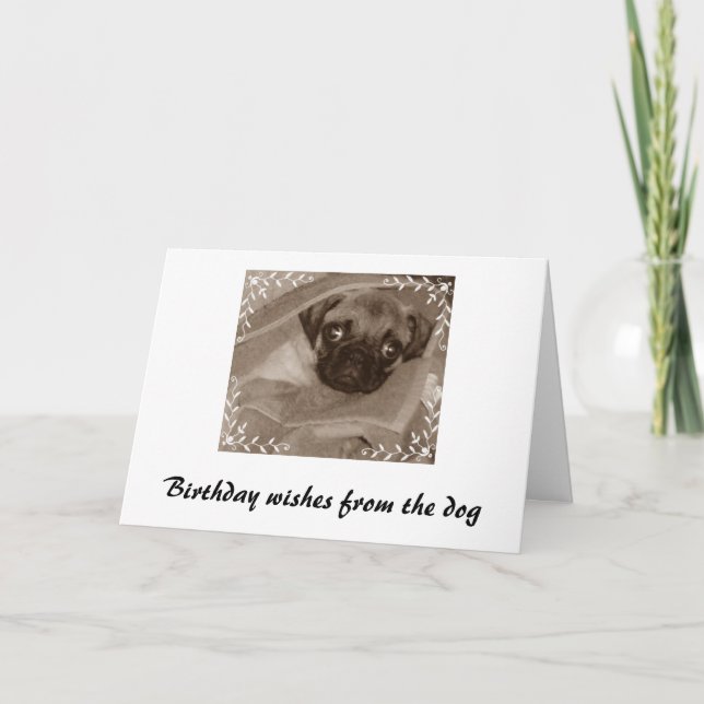Carte voeux d'anniversaire du chien (Devant)