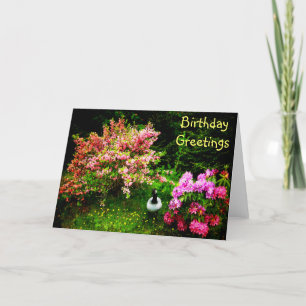 Carte Voeux d'anniversaire - Oie