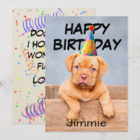 Vœux d'anniversaire toutou d'un chiot avec chapeau